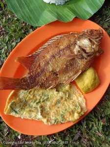 Nila Goreng Telor Dadar Penyetan Piring Orange