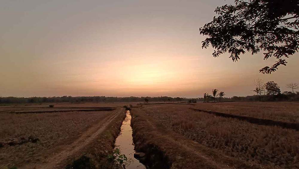 Saluran Irigasi Sawah Air Mengalir Senja