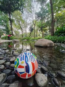 Bola Piala Dunia Bola Di Atas Air Dibawah Pohon Rindang