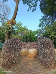 Diorama Sarang Burung Tempat Foto Spot Foto Sarang Telor Dinosaurus