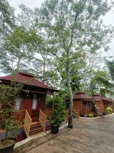 Glamping Cam Tempat Menginap Staycation Natural Rumah Kayu