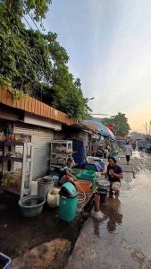 Pasar Ikan Hias Pagi Hari Pusat Ikan Hias