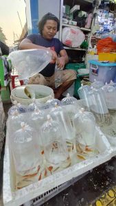 Pasar Ikan Hias Penjual Bungkus Ikan Hias