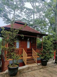 Rumah Kayu Tempat Menginap Liburan Staycation Glamping Asri Natural Outdoor Cam