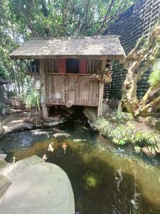 Saung Sunda Di Bawah Pohon Rindang Di Depannya Ada Kolam Ikan Koi Tanaman Pakis
