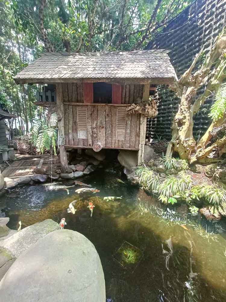 Saung Sunda Di Bawah Pohon Rindang Di Depannya Ada Kolam Ikan Koi Tanaman Pakis