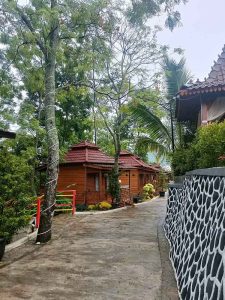 Suasana Glamping Alami Tempat Menginap Liburan Di Alam Outdoor