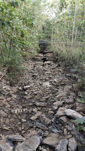 Batu Putih Sungai Kering Semak Belukar