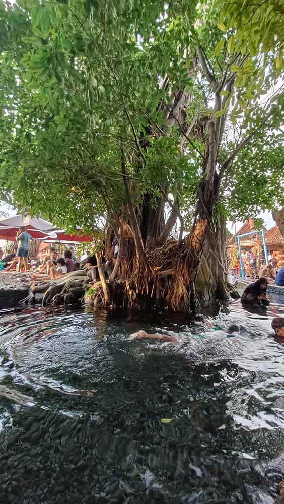 Berenang Umbul Kemanten Sumber Mata Air