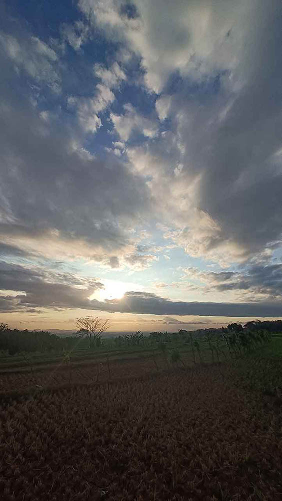 Mitos Dan Larangan Saat Senja Atau Sore Hari Tiba 1 Hamparan Sawah Senja Matahari Terbenam