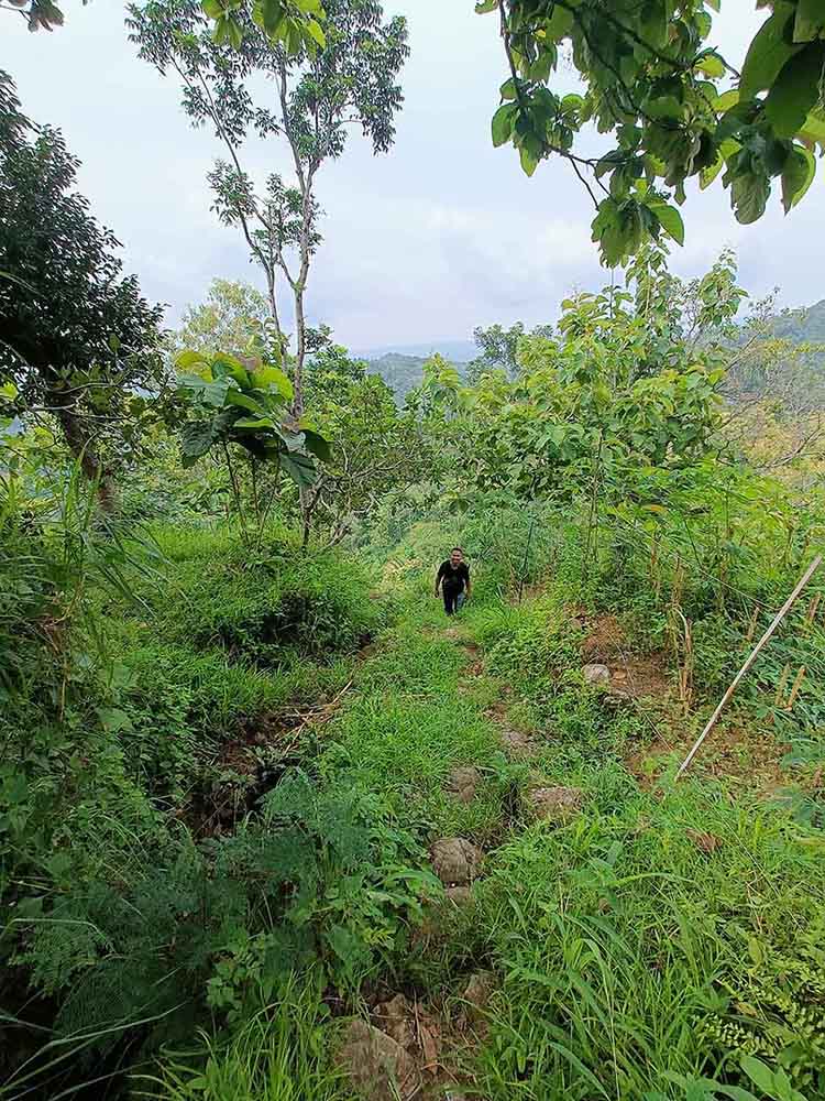 Hiking Tracking Naik Gunung Pendaki