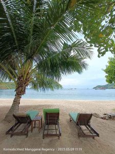 Kursi Pantai Pohon Kelapa Pantai Kapal Pinishi