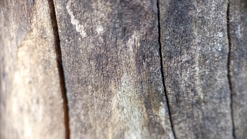 Weathered wood grain shows deep crevices and rough texture 1 Weathered wood grain shows deep crevices and rough texture