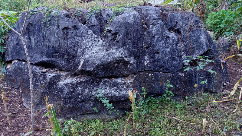 Rugged, moss-covered stone rests in wild, green terrain