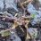 Tiny plant struggles through cracked, rough stone surface