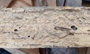Ancient stone pillar shows signs of age and wear