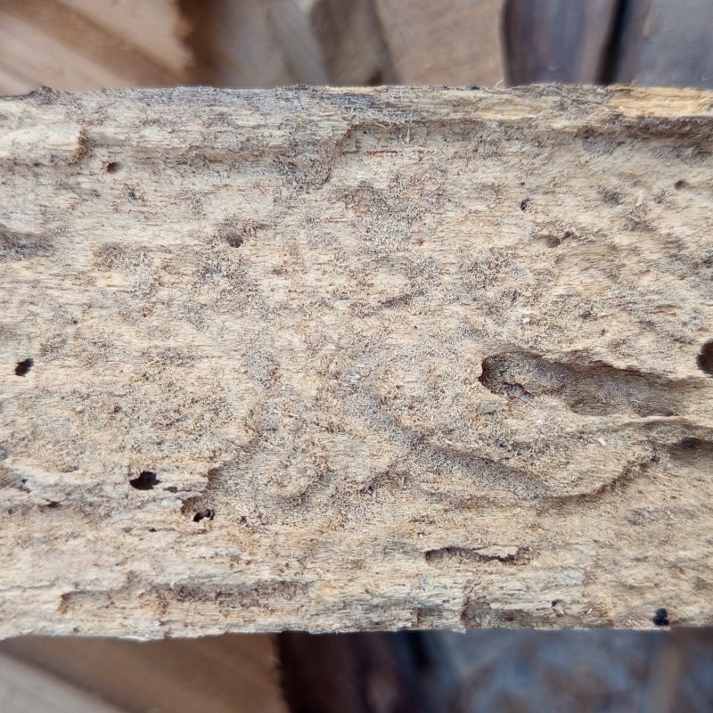 Ancient stone pillar shows signs of age and wear