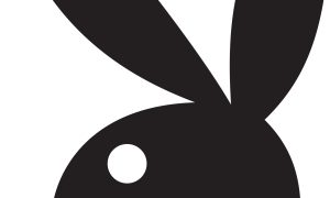 Black Bunny Silhouette Logo Icon Black Bunny Silhouette Logo Icon