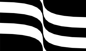 Abstract Black and White Wavy Stripes Background
